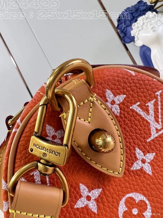 WIS Louis SPEEDY 25 Vuitton 1031